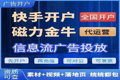 百度优化推广案例：案例分析及优化效果